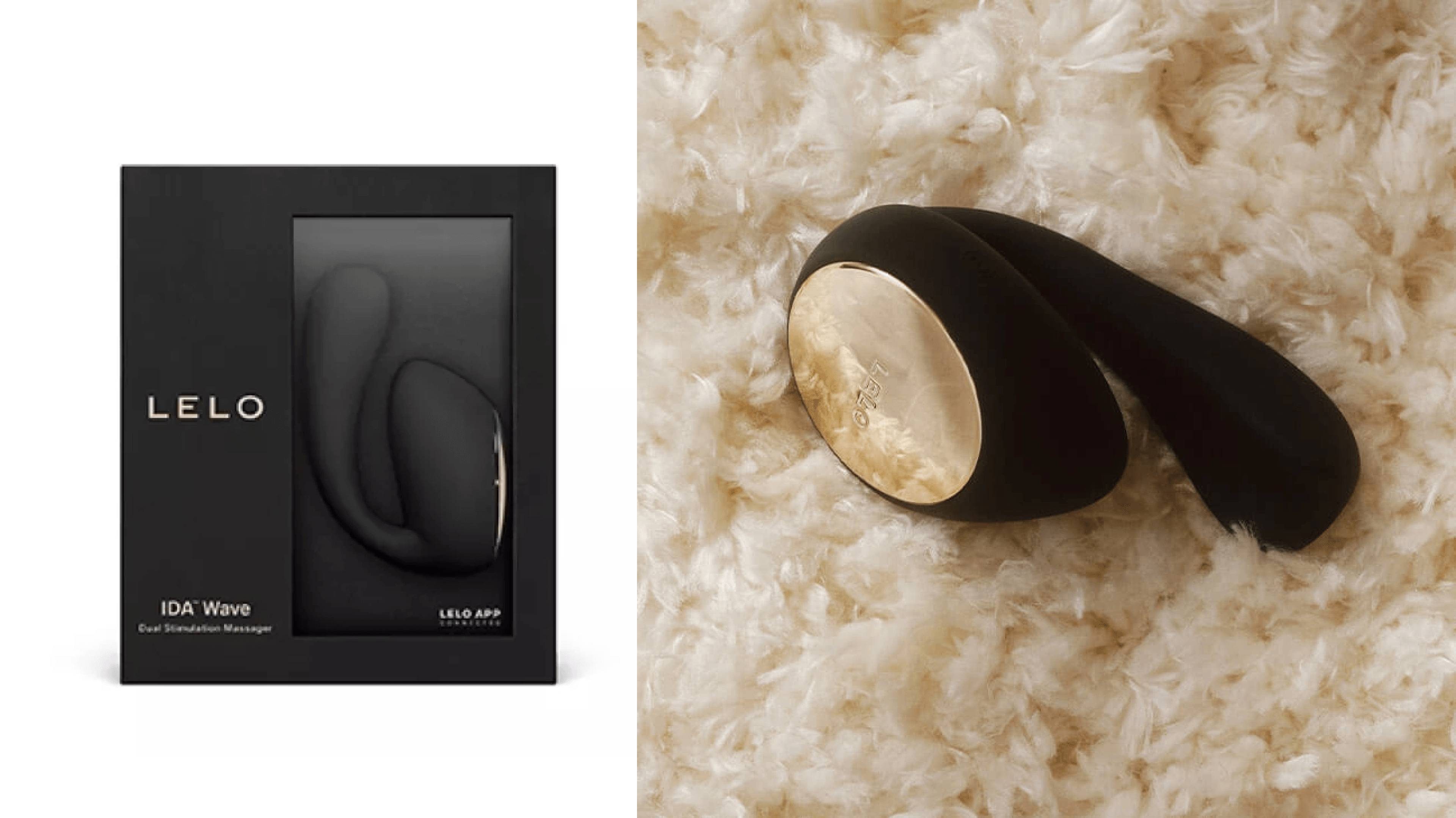 Lelo Ida Wave Review Header 2025