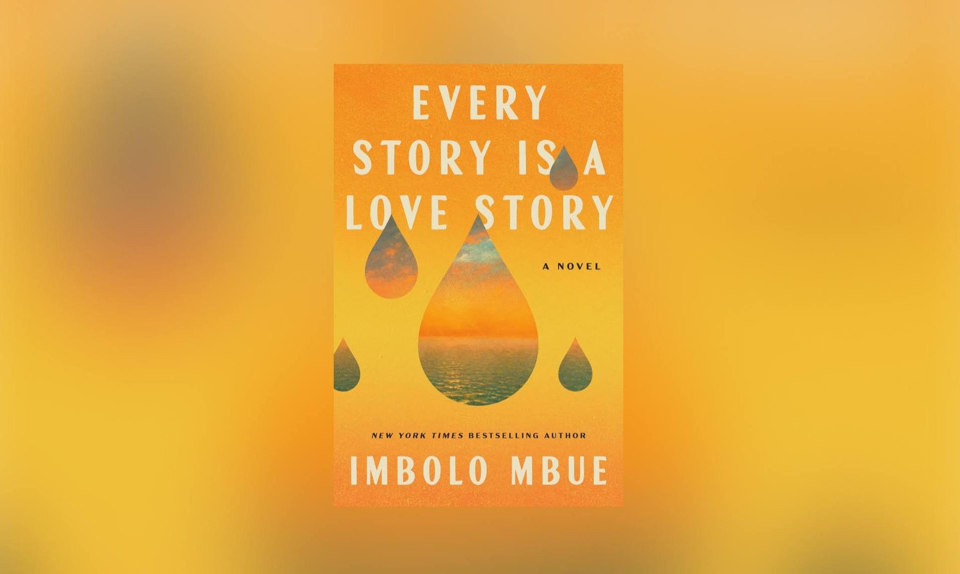 Every Story Is a Love Story by Imbolo Mbue Book Cover