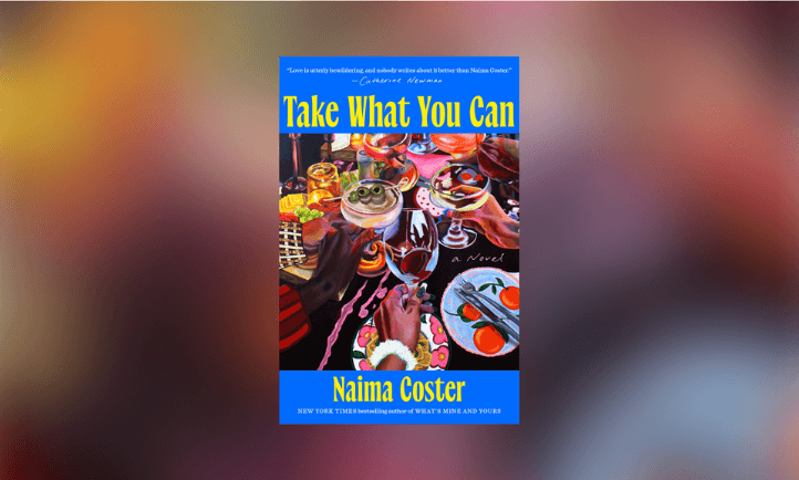 TAKE WHAT YOU CAN BOOK COVER