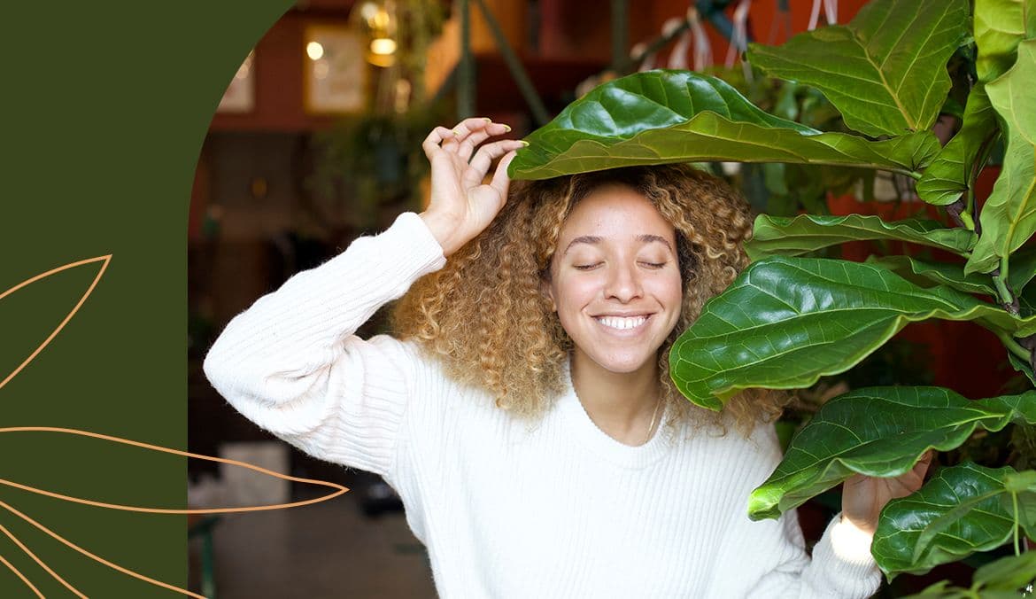 Featured image for How To Care for Your Fiddle-Leaf Fig, the Most Dramatic of All Houseplants