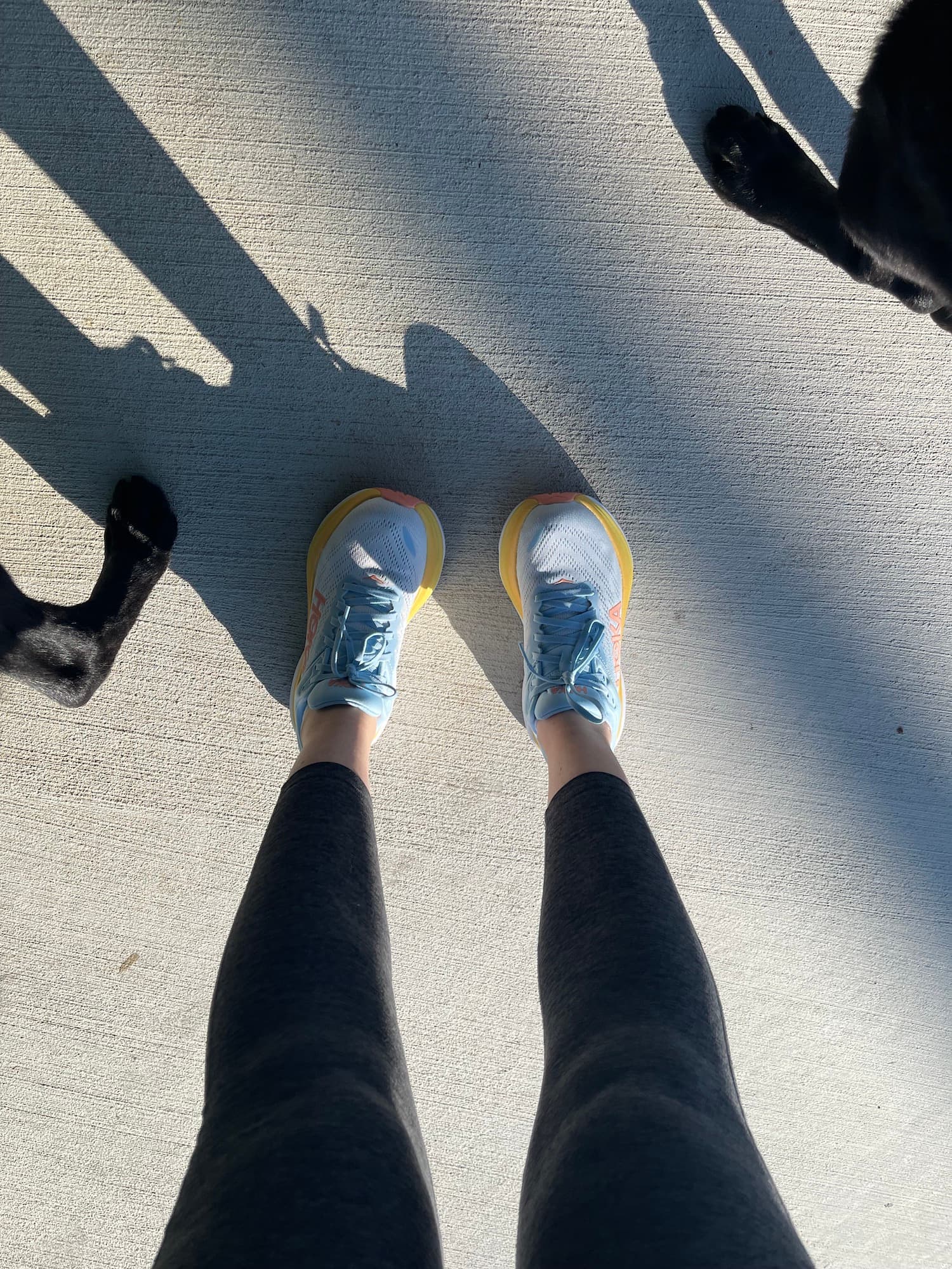 hoka bondi 8 photo from above