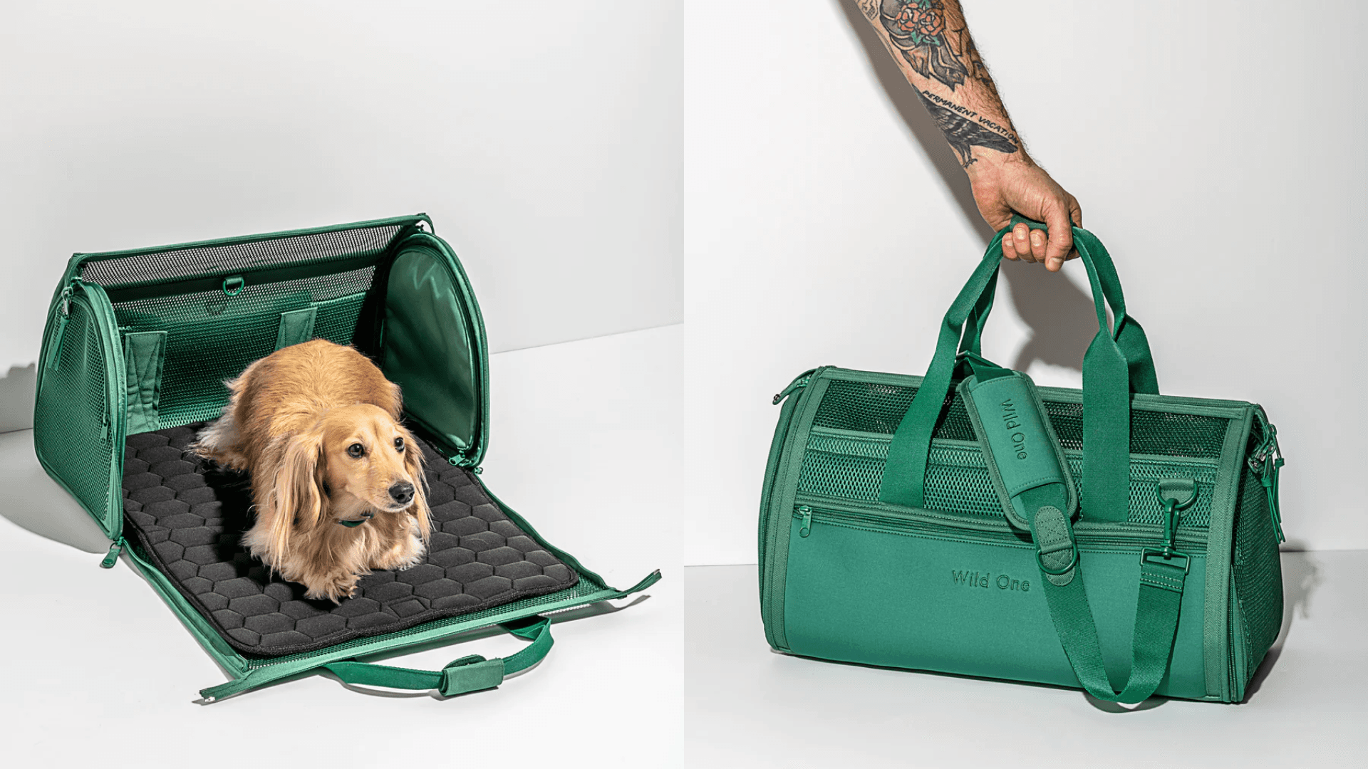 Pet carrier