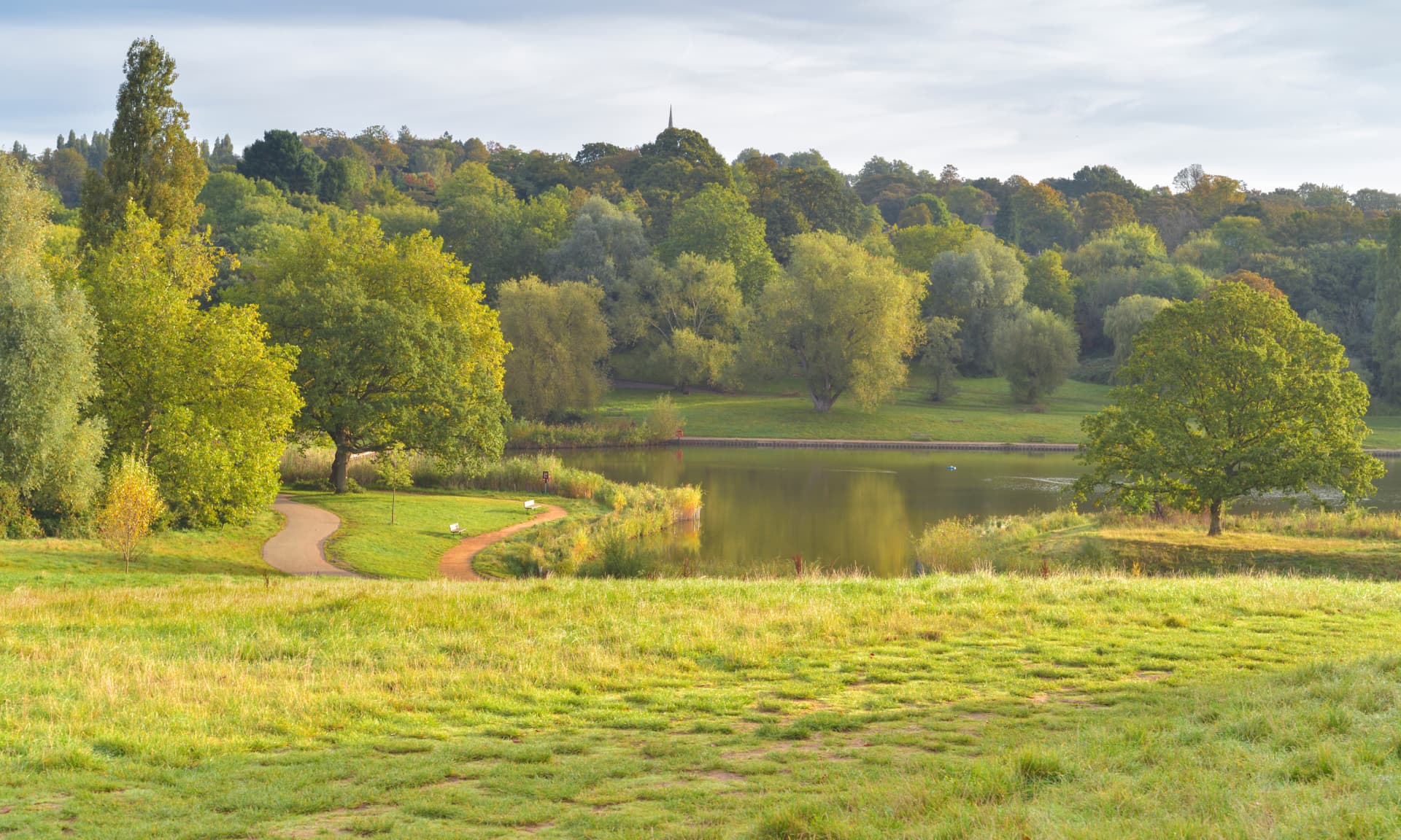Hampstead Heath
