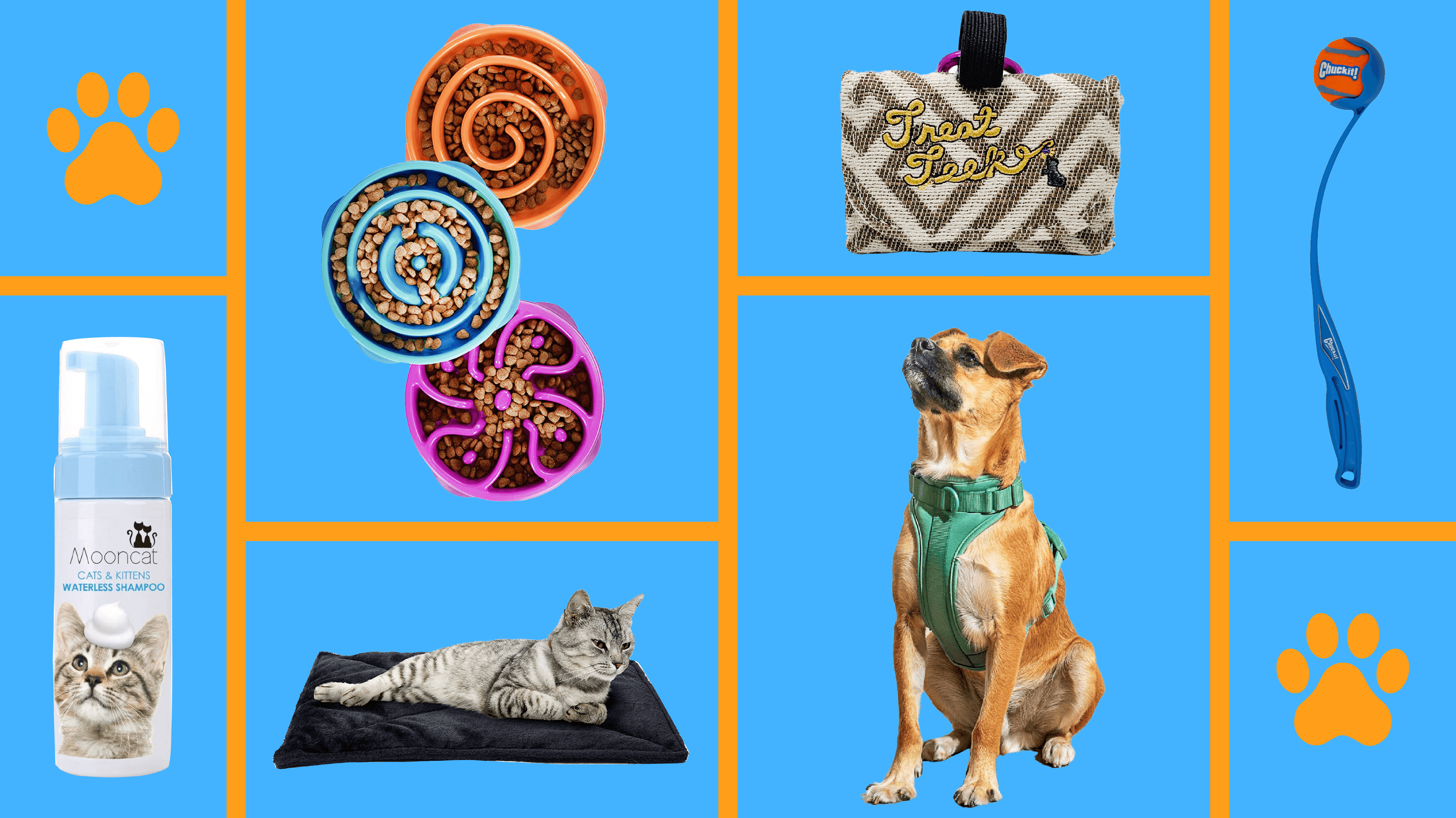 problem-solving pet products