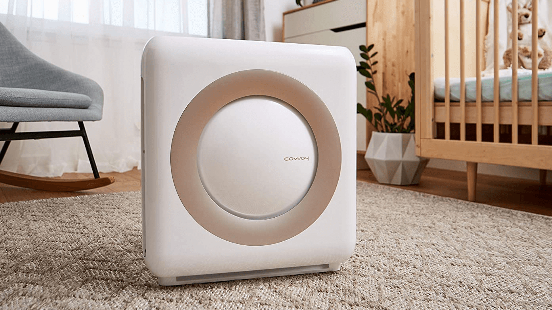 air-purifier