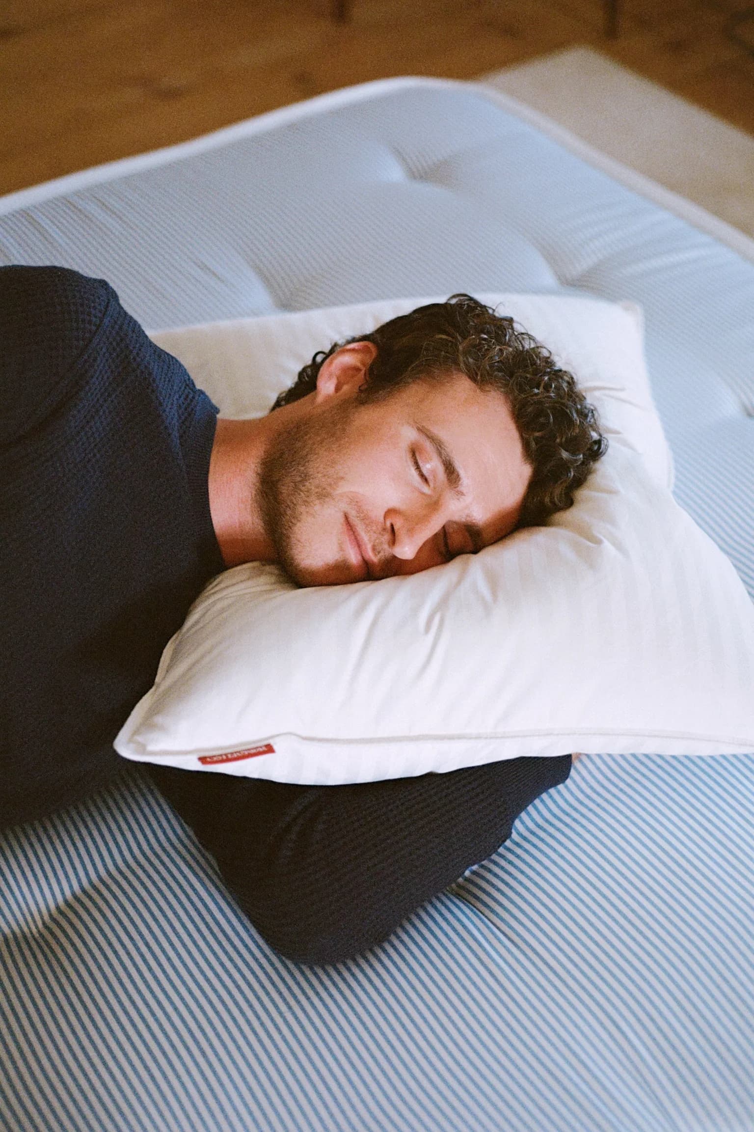 Ostermoor The Down Pillow