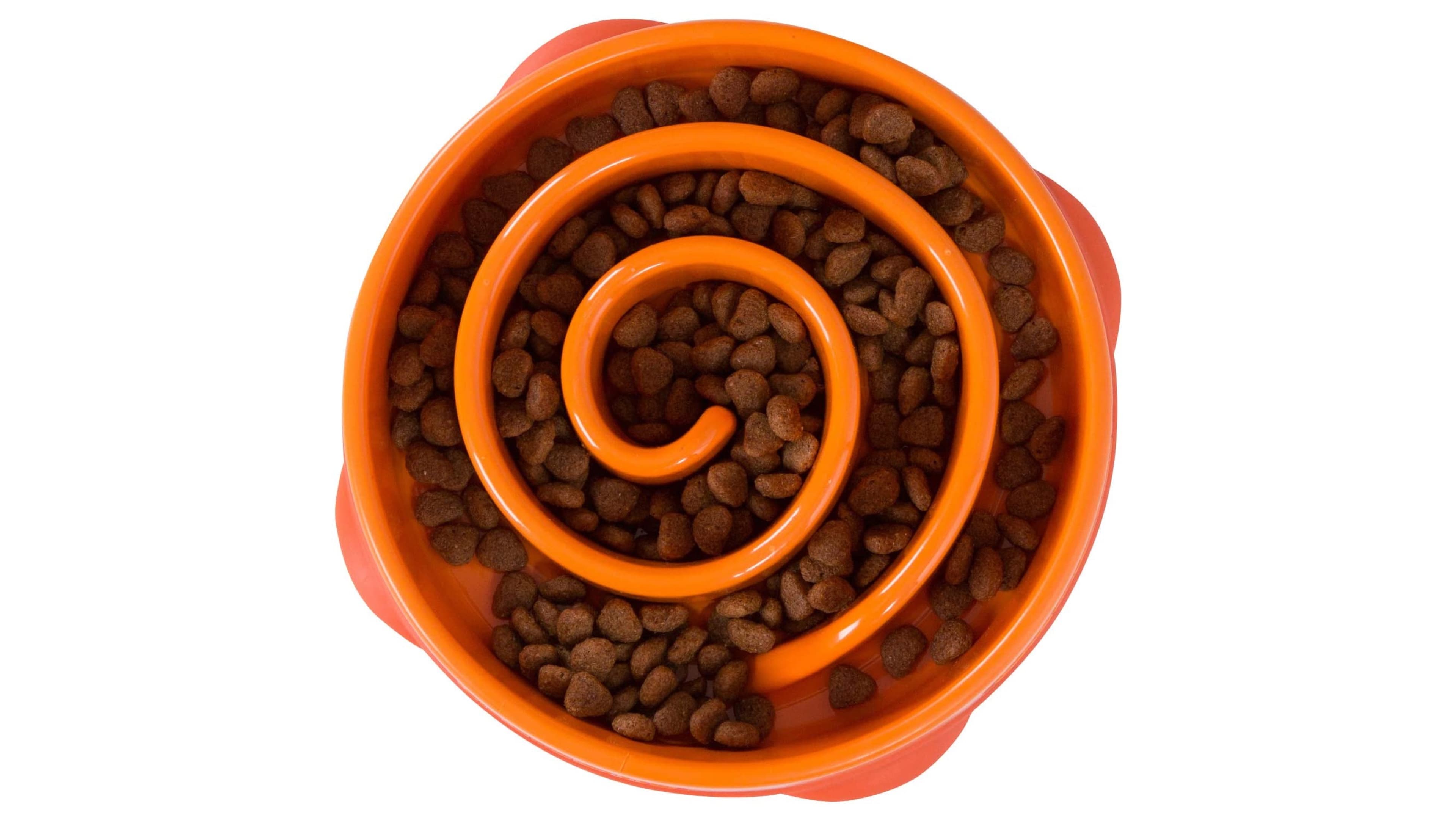 slow-feed bowl with raised grooves to help your pet eat slower
