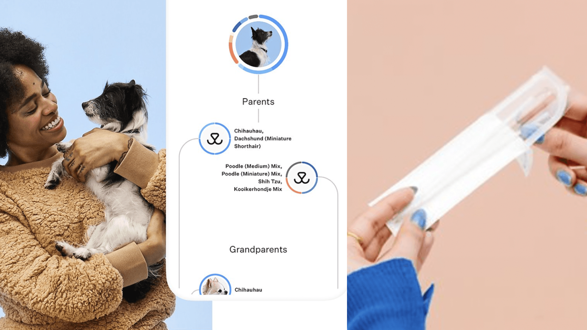 Chewy DNA kit