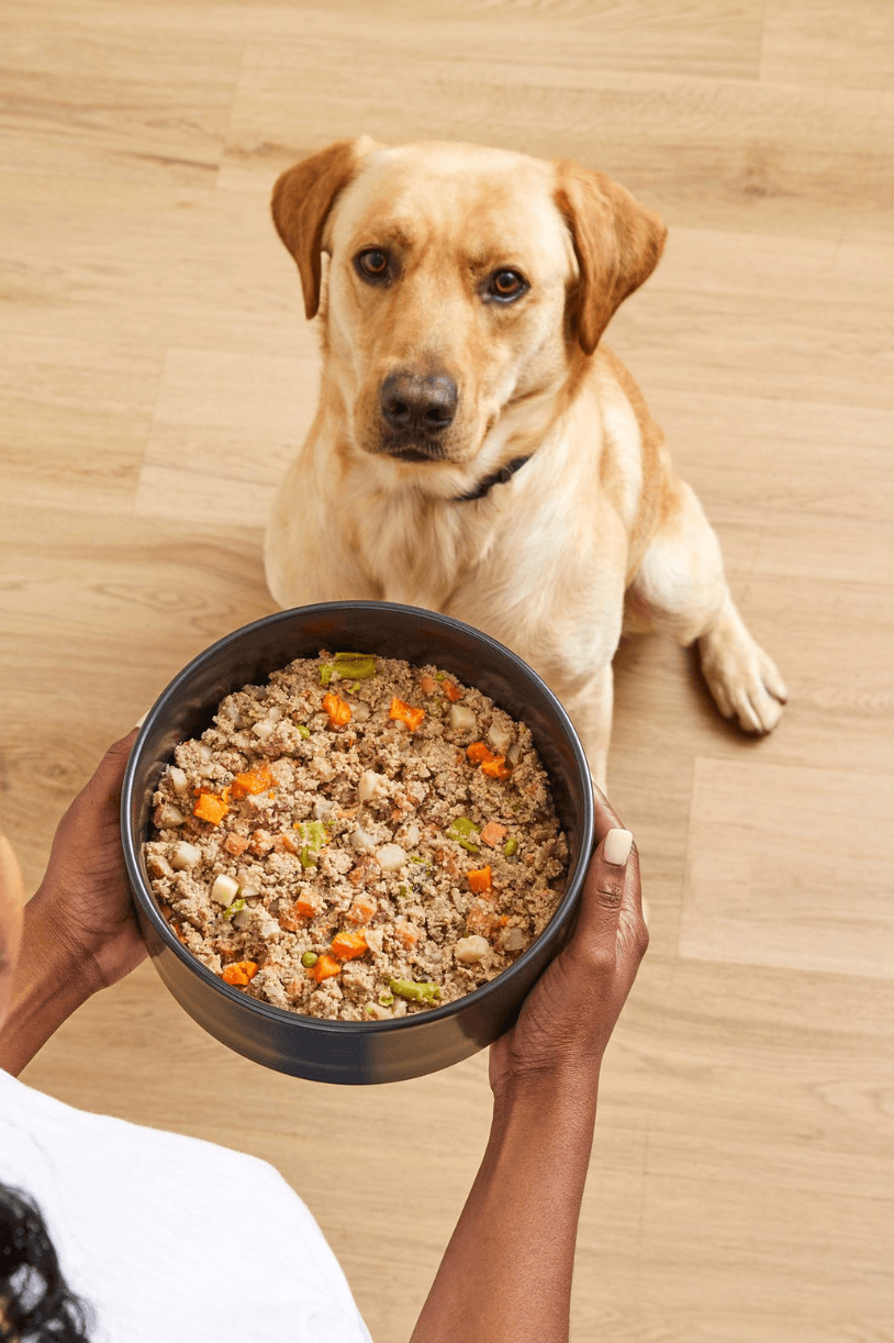 dog-food