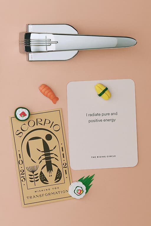 Sushi Magnets
