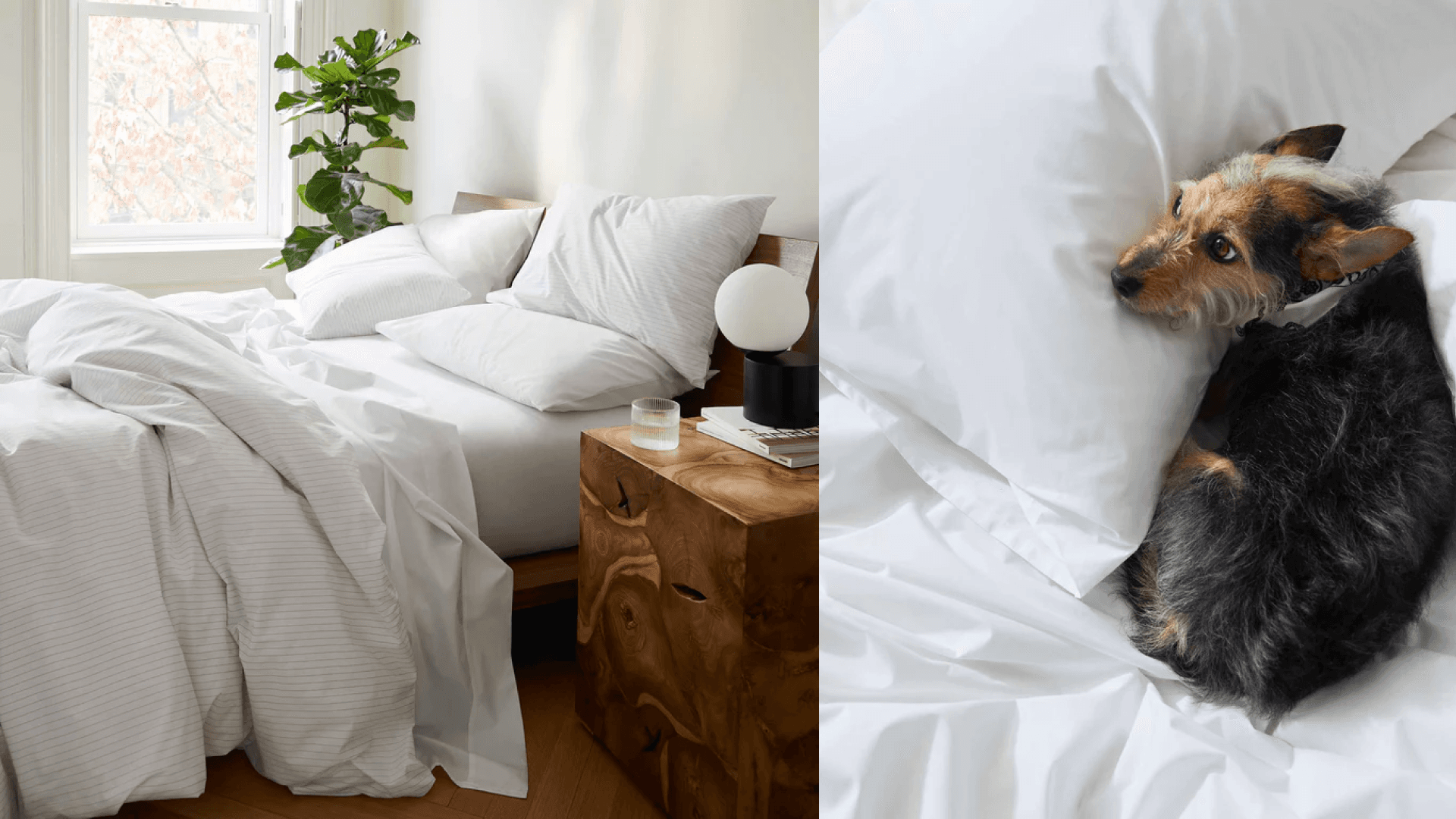 sheet-set