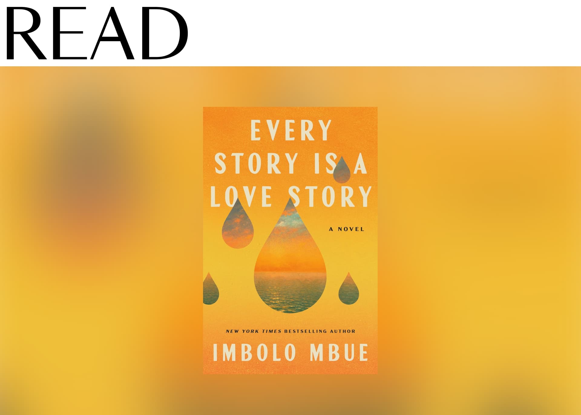 Every Story Is a Love Story by Imbolo Mbue