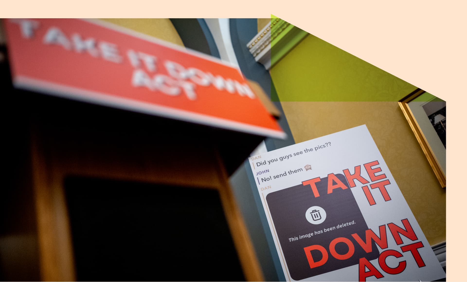 Posters reading "Take It Down Act"