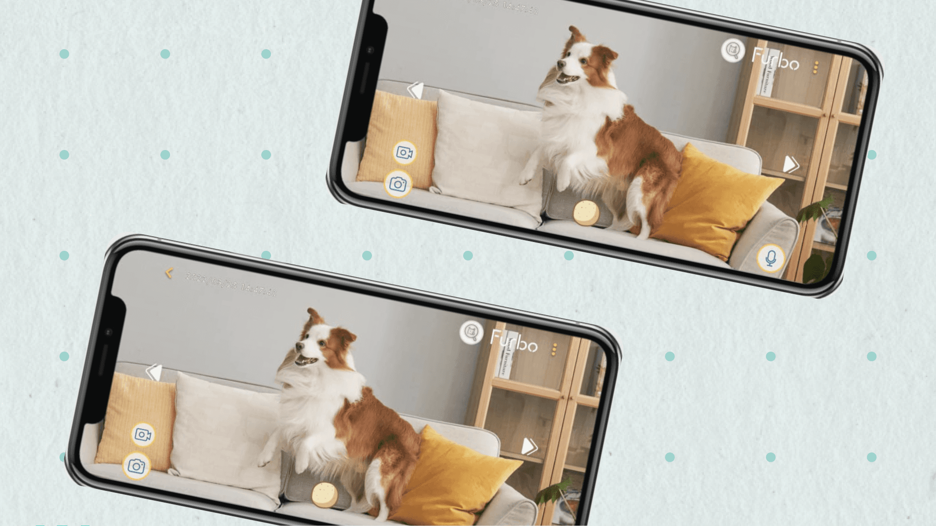 Dual image of Furbo Dog Camera app