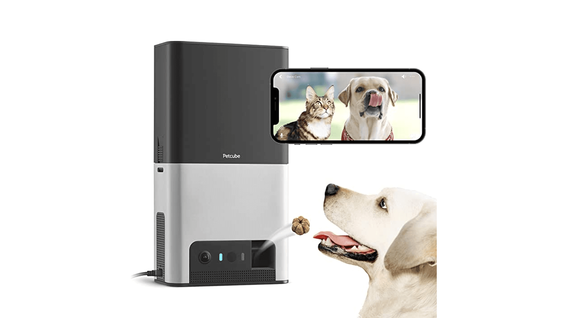petcube