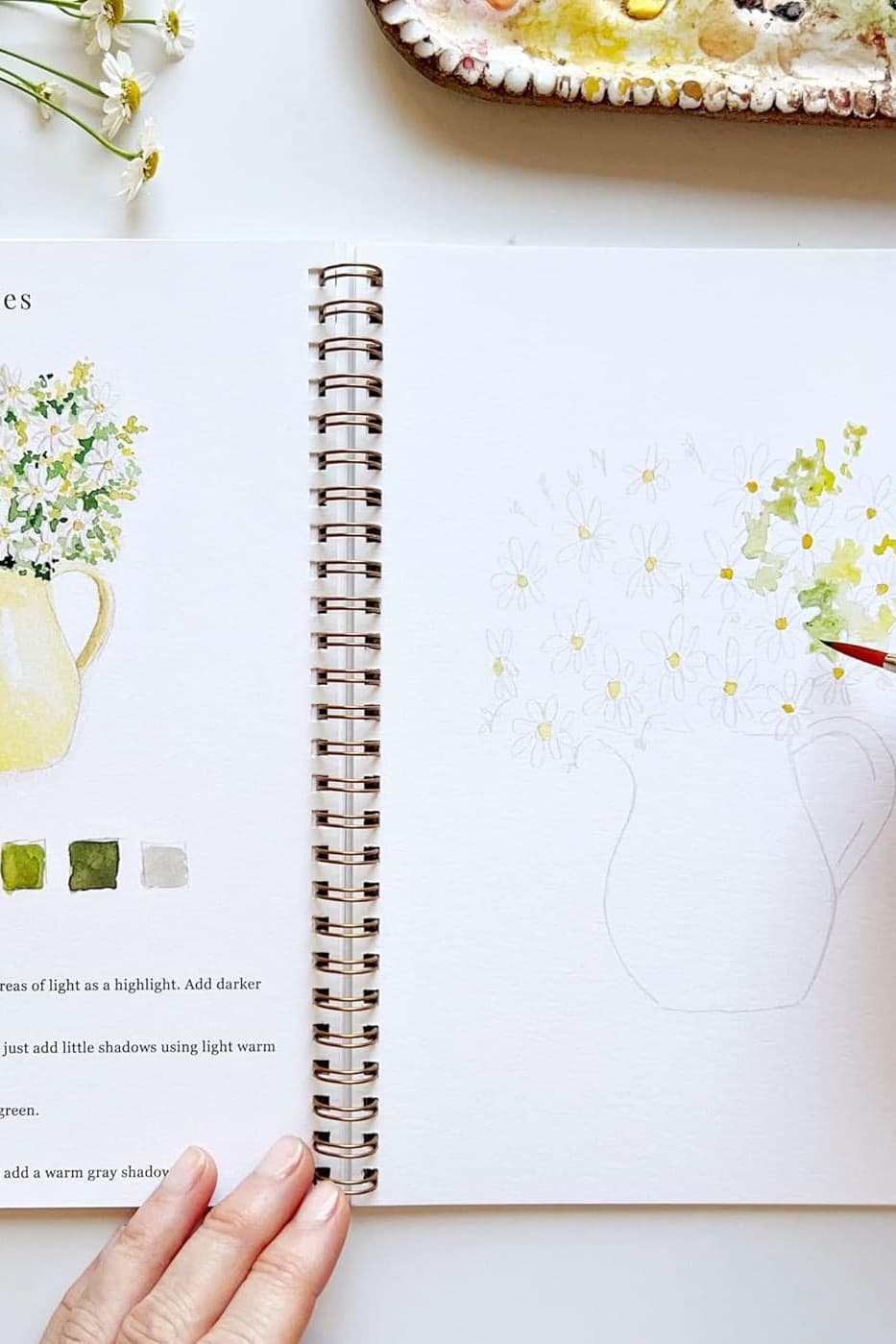 watercolor guidebook