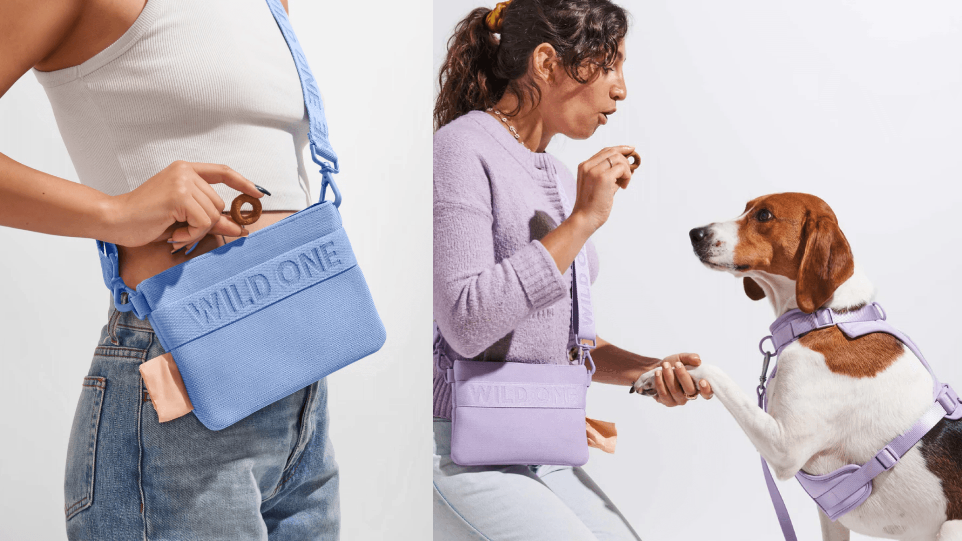 treat-pouch