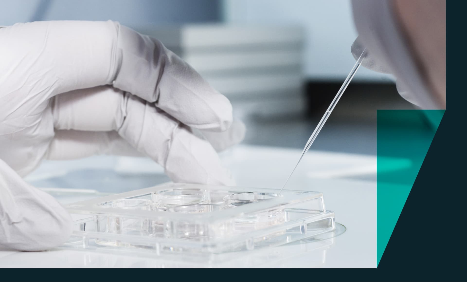 A scientist adjusts samples