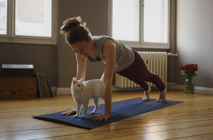 Featured image for The 10 wildest animal walk exercises ranked from easiest to hardest