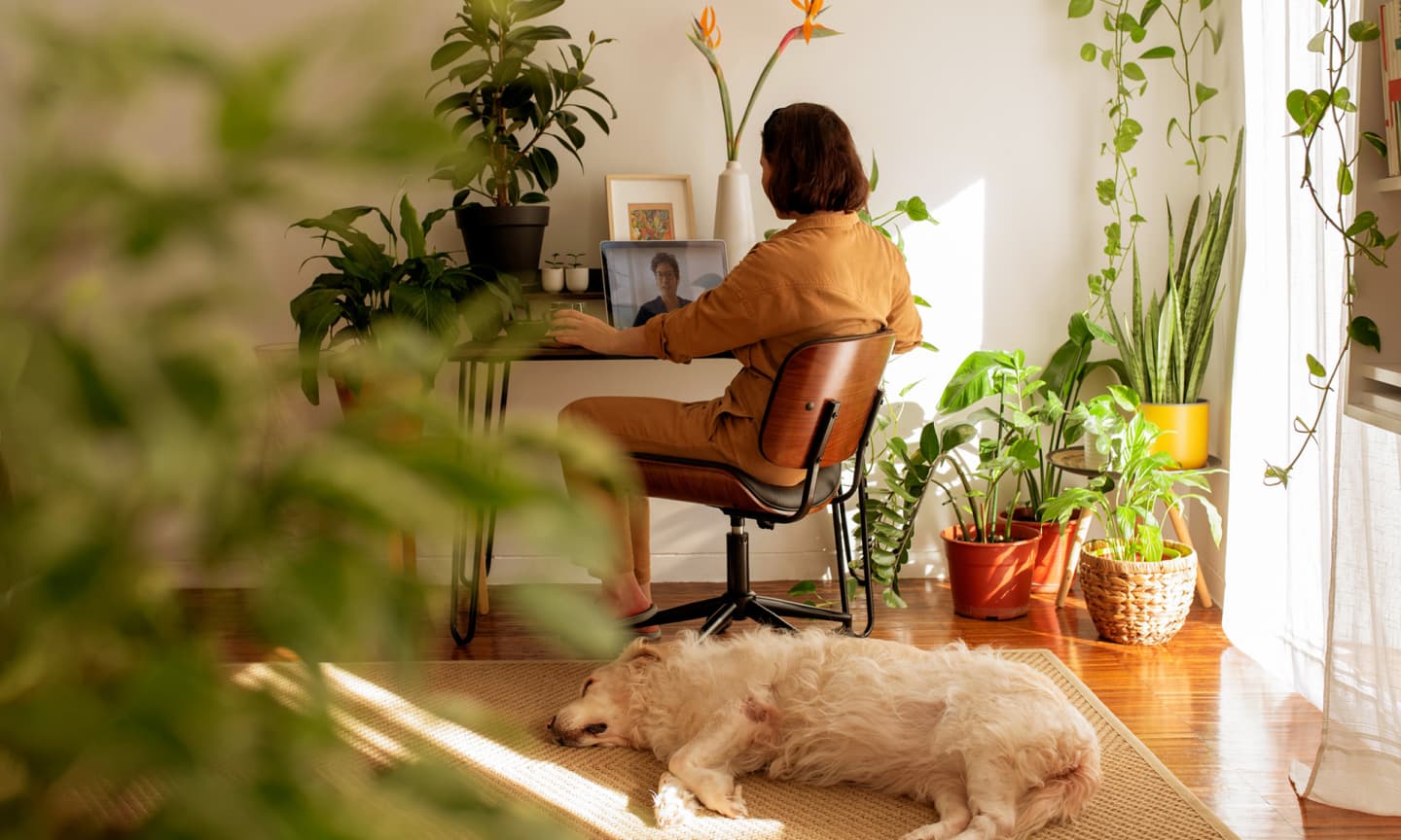 Woman at computer