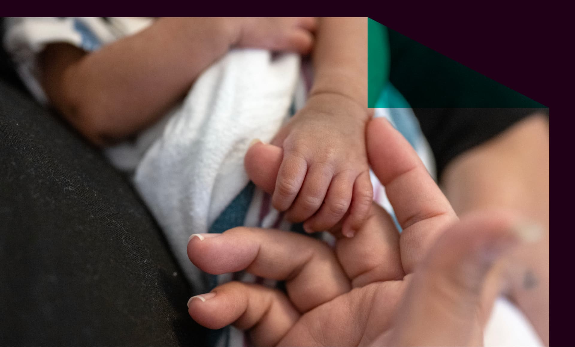Parent holding baby's hand in the NICU.