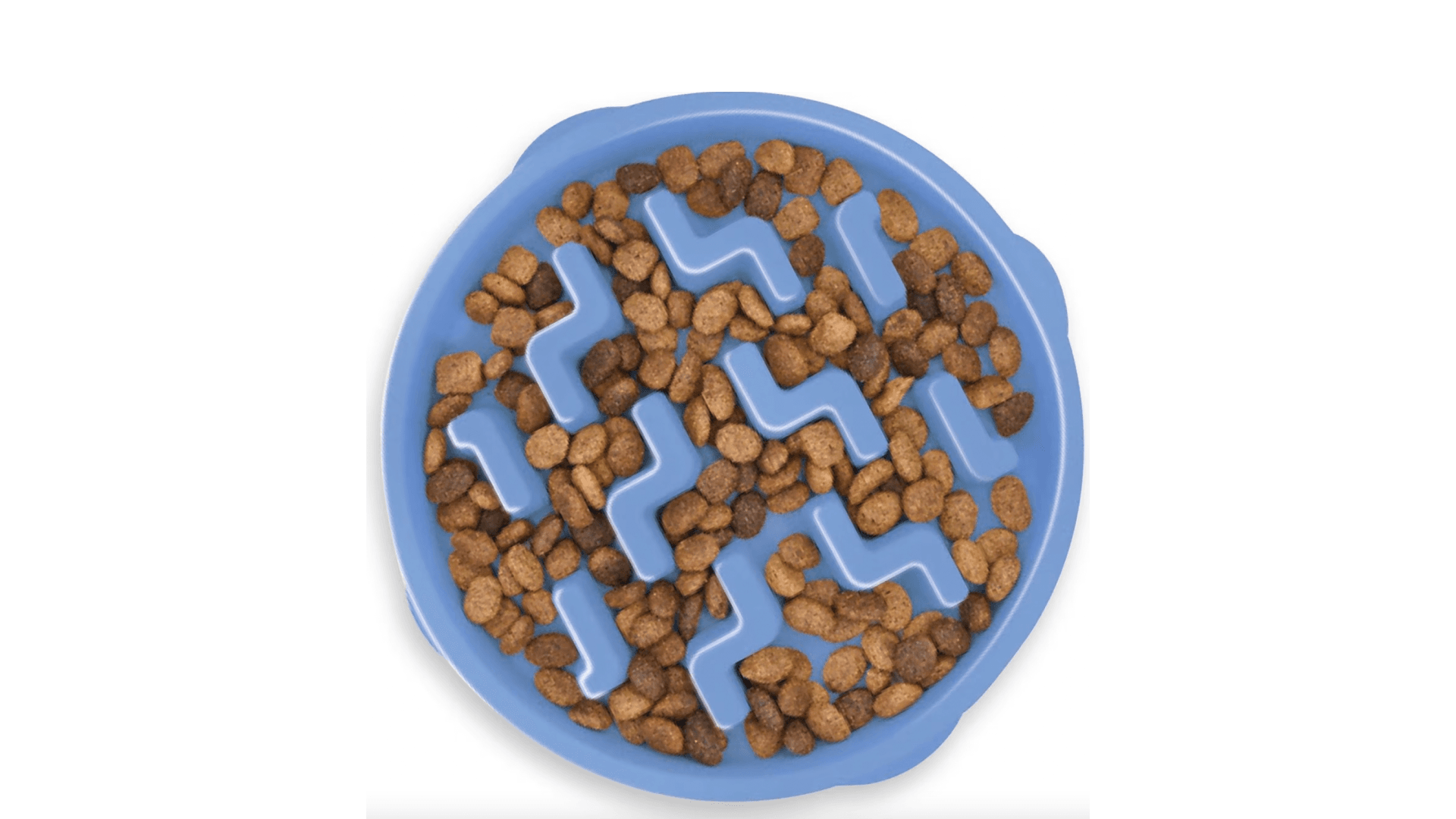 dog-bowl