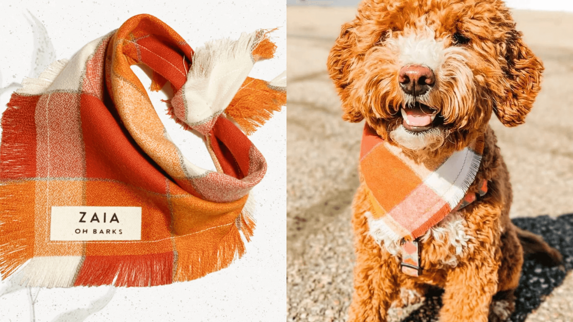 Dog bandana