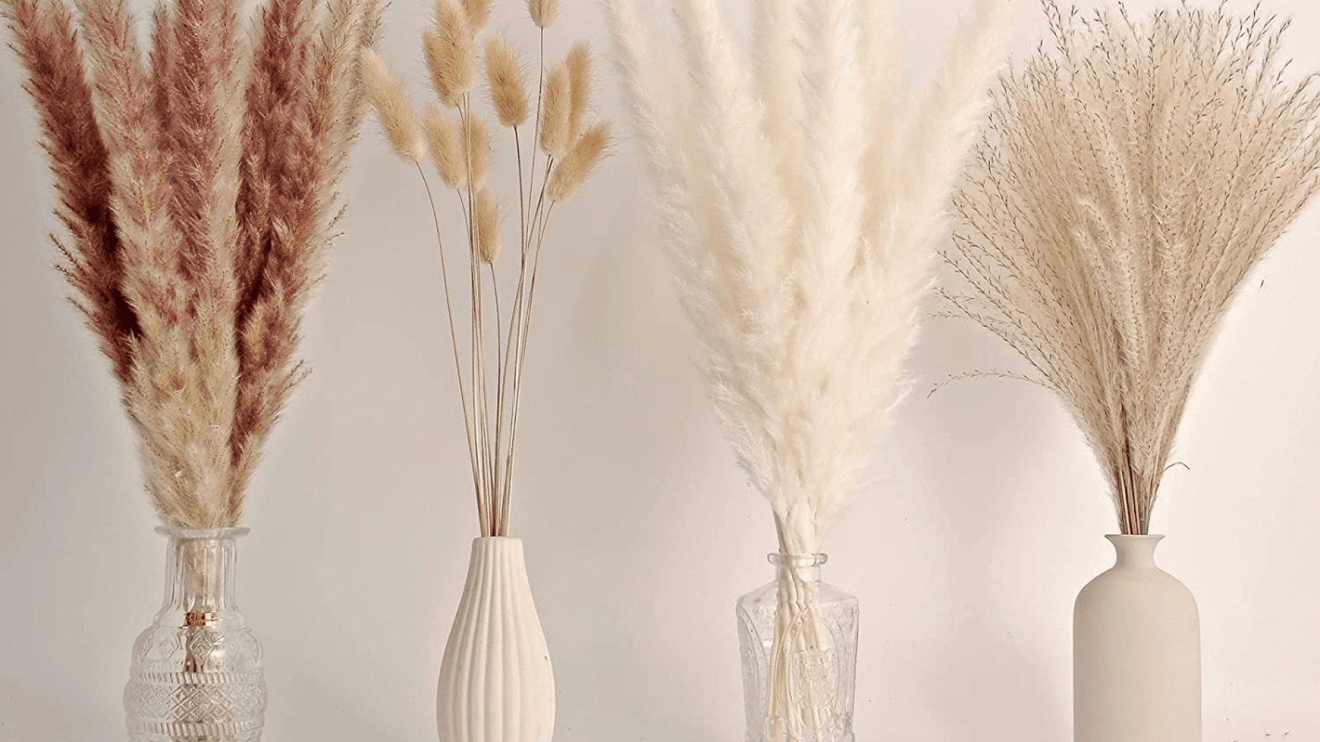 Amazon dried pampas