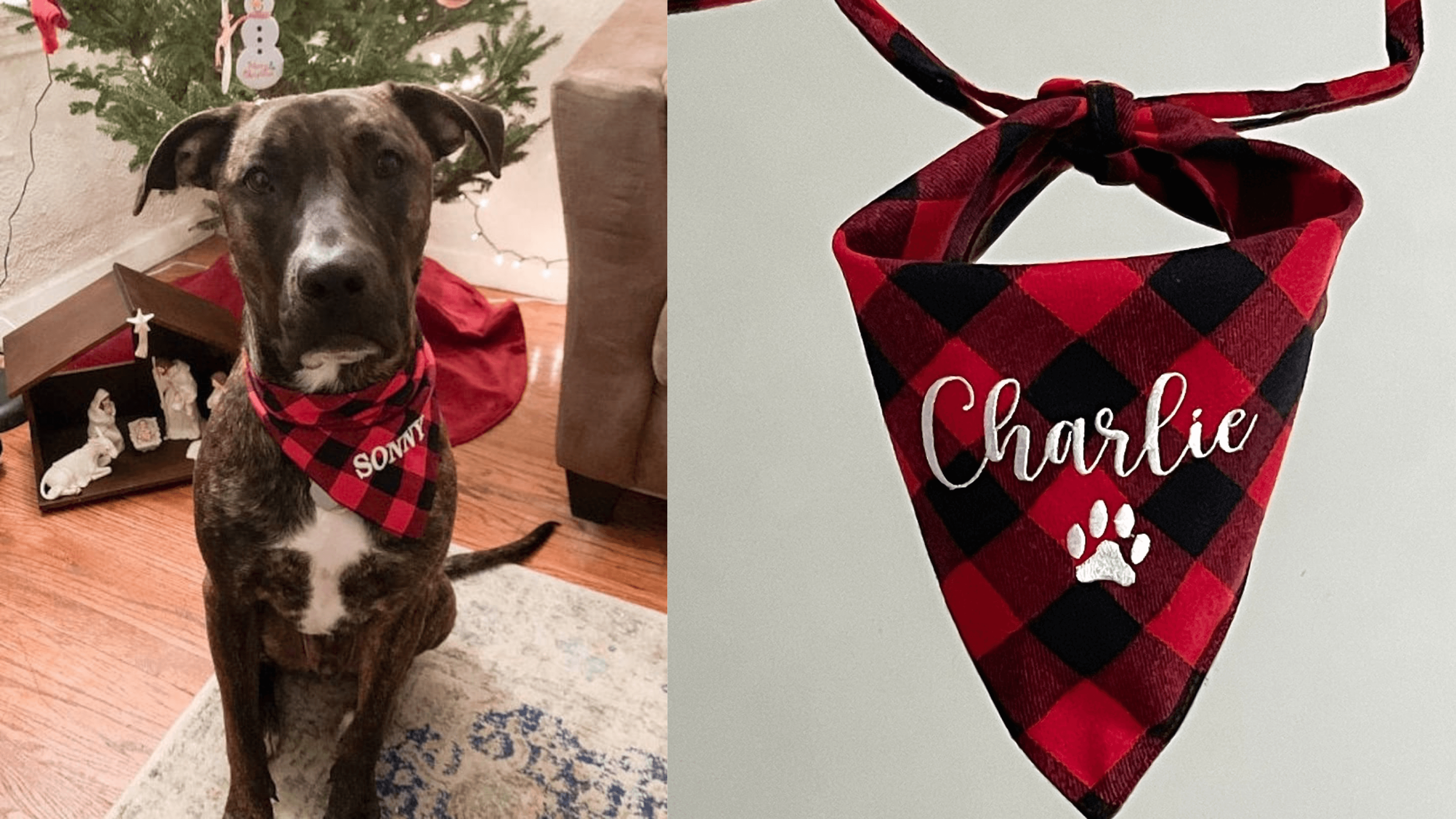 plaid name bandana for pets