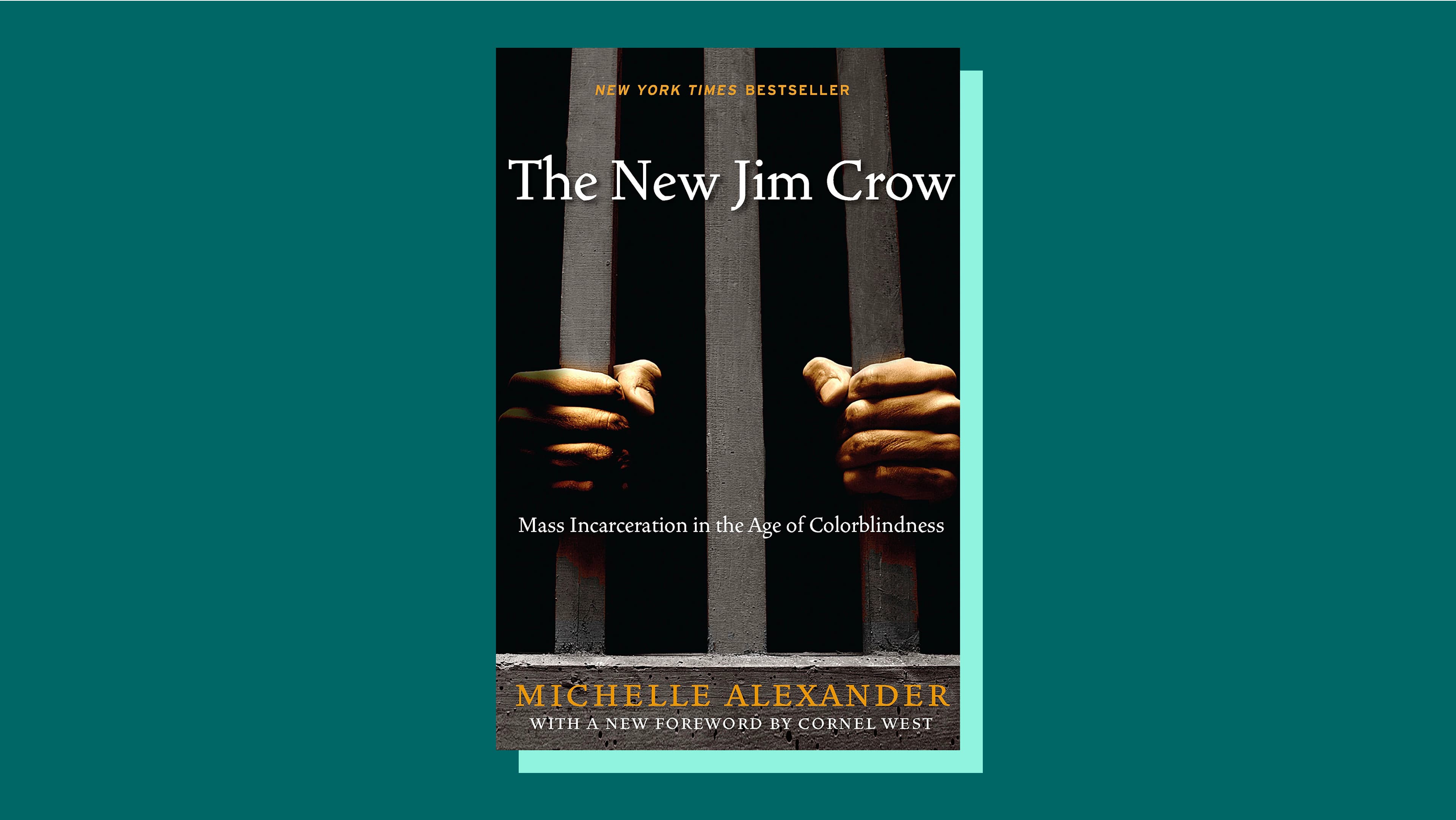 “The New Jim Crow: Mass Incarceration in the Age of Colorblindness” by Michelle Alexander