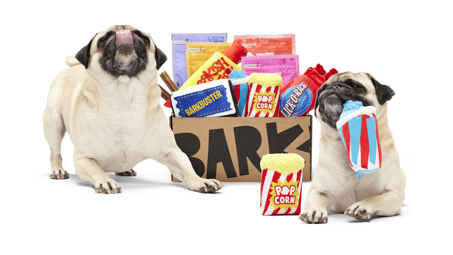 Pet subscription