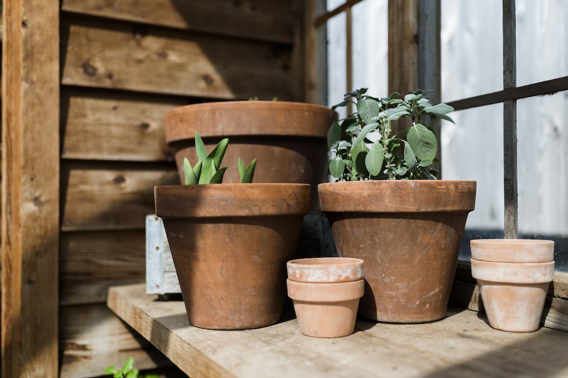 Featured image for Skipping This Step With Your Terra Cotta Pots Could Be Drying Out Your New Plants