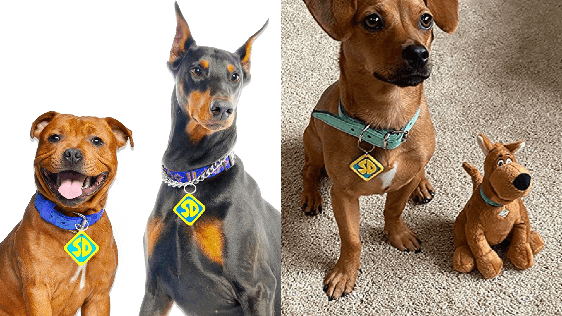 pet costumes