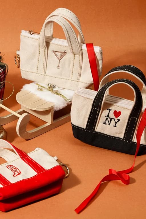 Dog poop tote