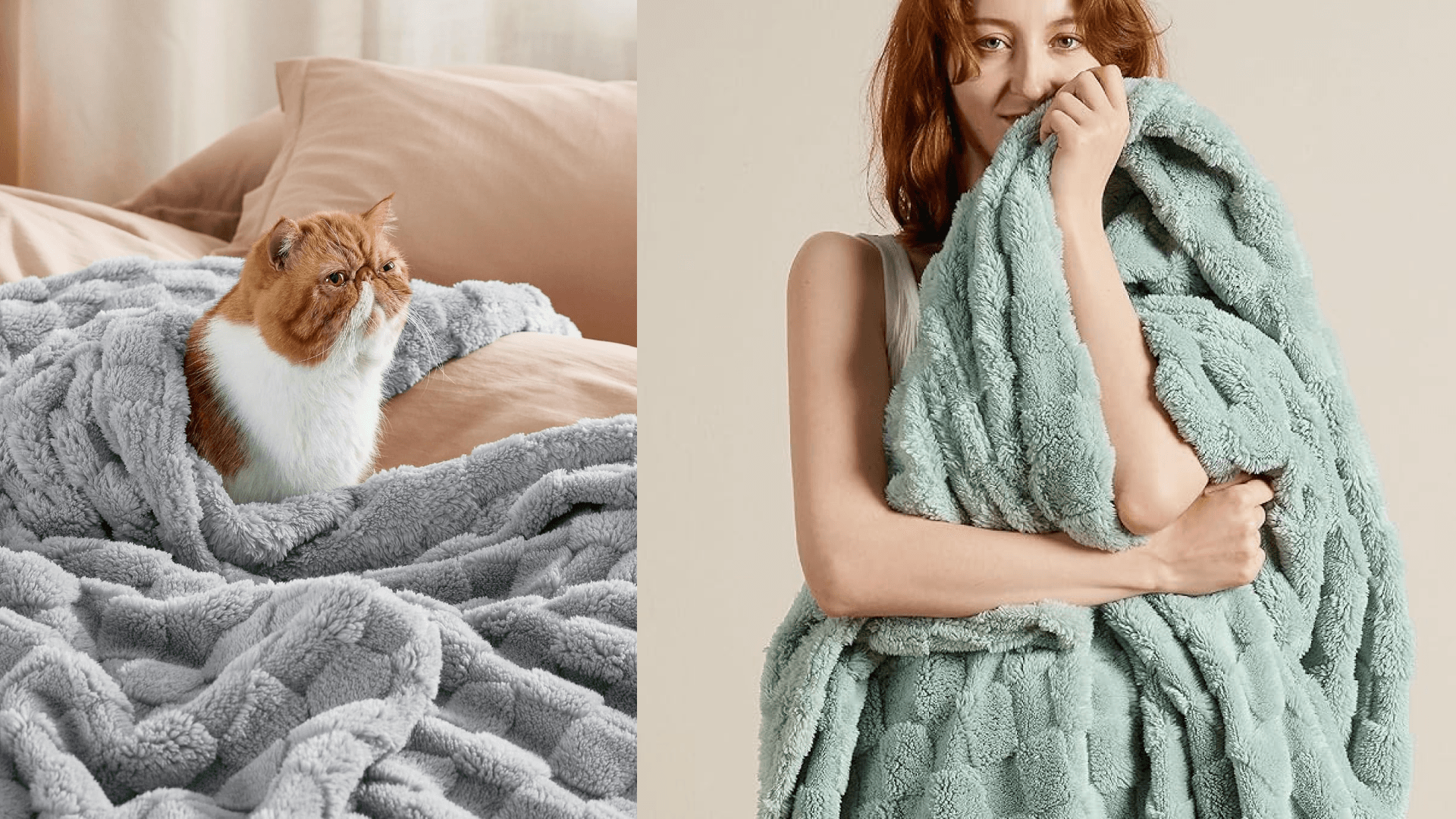 blanket