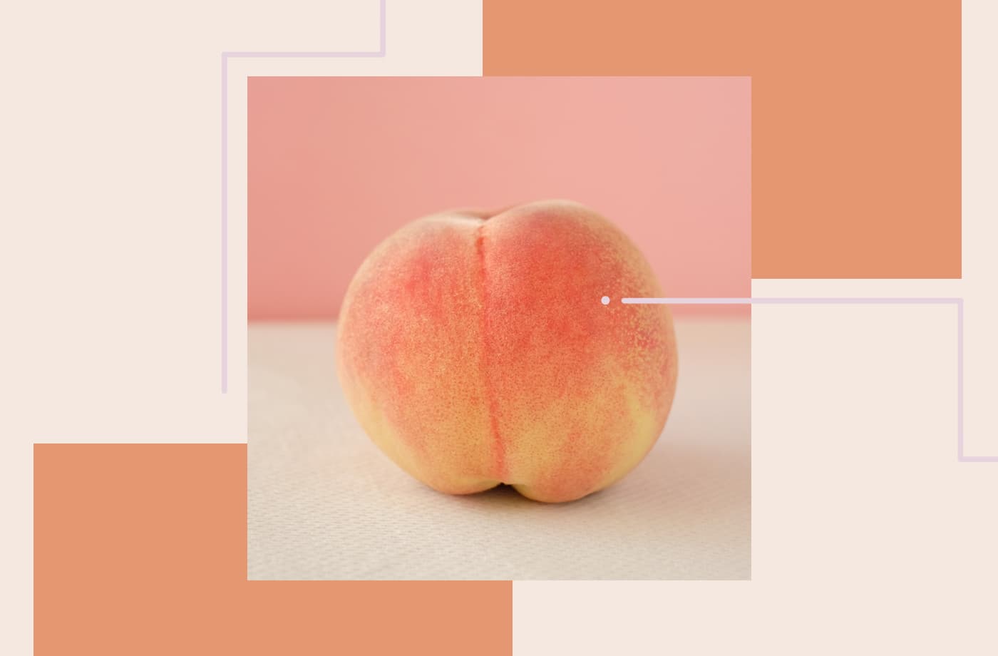 Featured image for Why an Anal Surgeon Is Begging You To Stop Using Wet Wipes