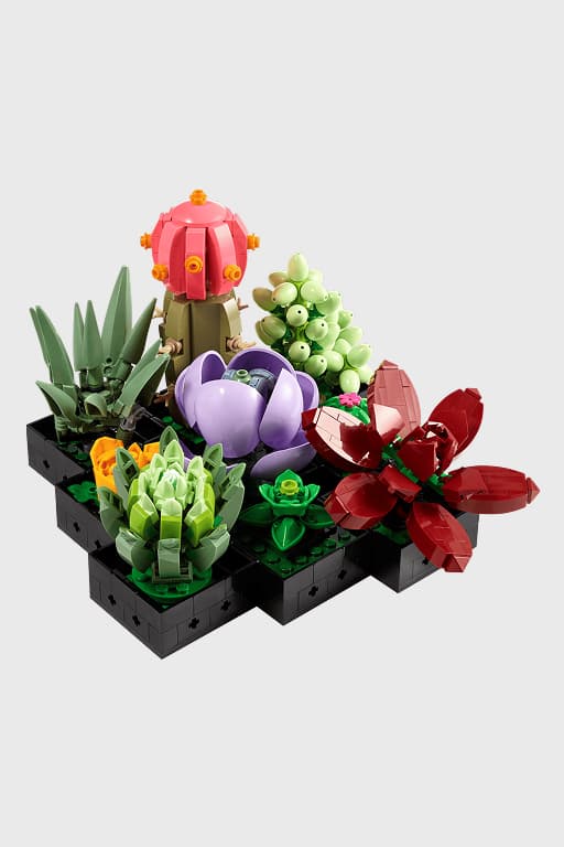 Icons Succulents