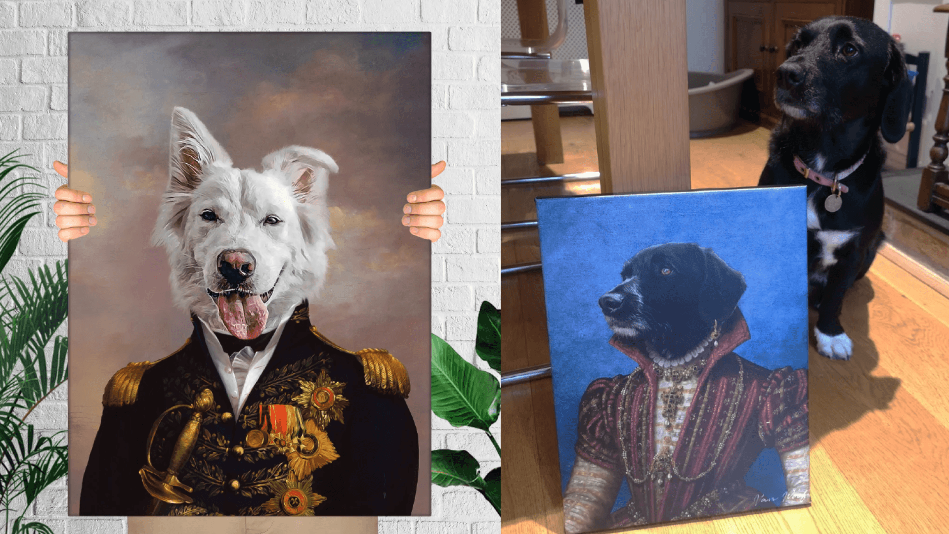 Dog portrait