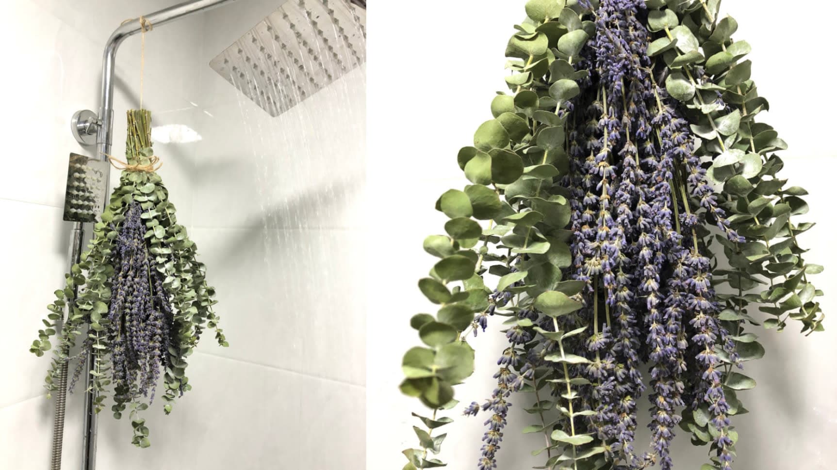 eucalyptus and lavender shower bundle