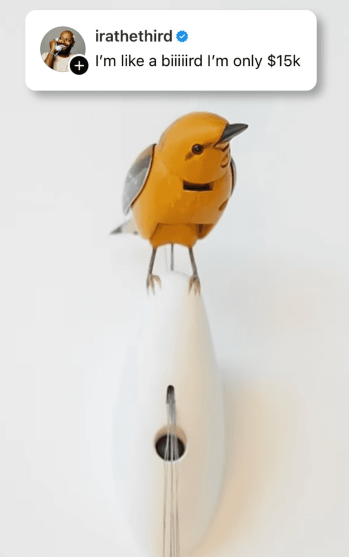 We needed this I'm like a bird