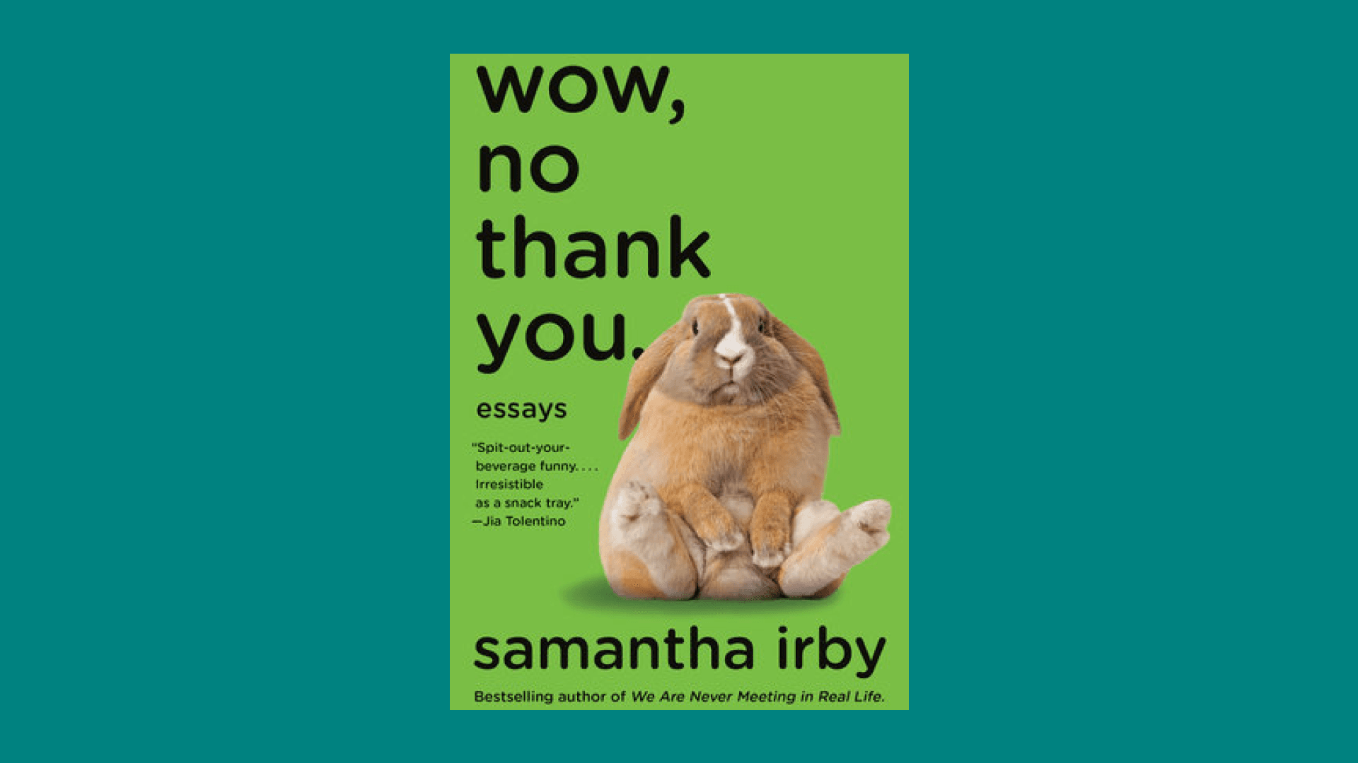 “Wow, No Thank You.” by Samantha Irby
